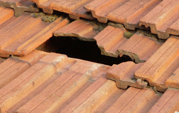 roof repair Staplecross, East Sussex